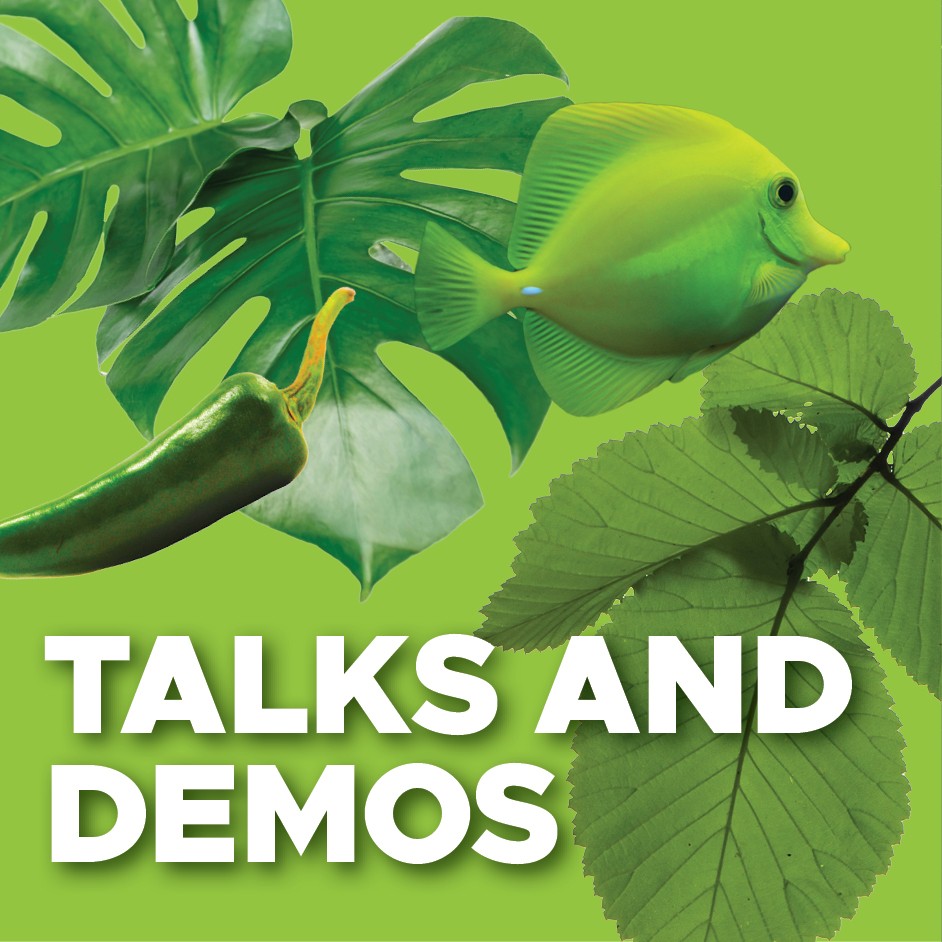 Talks and Demos