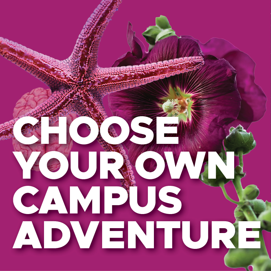 Choose your own campus adventure