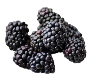 Blackberries