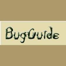 Bug Guide Logo