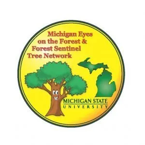 eyes on the forest logo