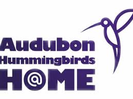 Hummingbirds at Home logo