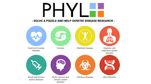 Phylo logo